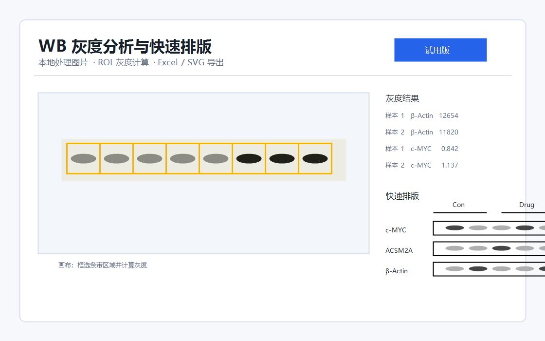 WB 灰度分析与快速排版软件界面预览