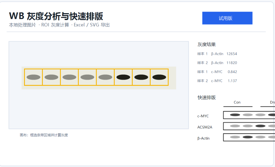 WB 灰度分析与快速排版界面预览